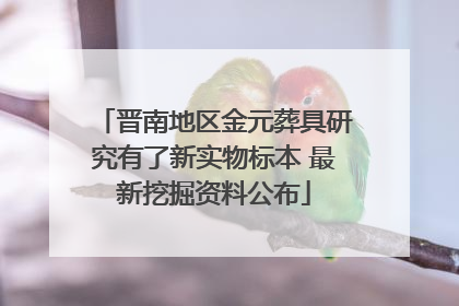 晋南地区金元葬具研究有了新实物标本 最新挖掘资料公布