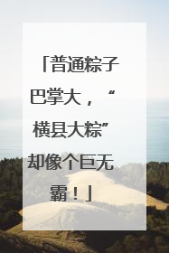 普通粽子巴掌大，“横县大粽”却像个巨无霸！