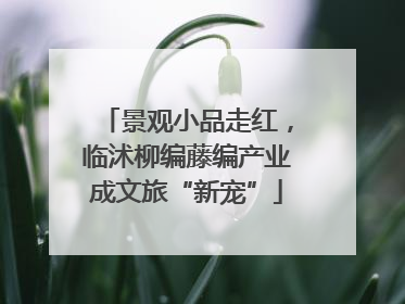 景观小品走红，临沭柳编藤编产业成文旅“新宠”