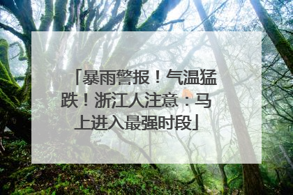 暴雨警报！气温猛跌！浙江人注意：马上进入最强时段