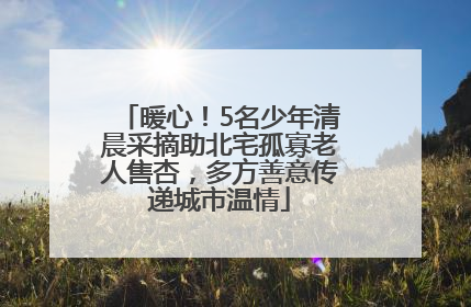 暖心！5名少年清晨采摘助北宅孤寡老人售杏，多方善意传递城市温情