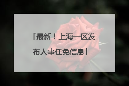 最新！上海一区发布人事任免信息