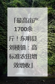 最高亩产1700余斤！东明县刘楼镇：高标准农田增效增收