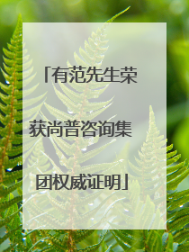 有范先生荣获尚普咨询集团权威证明