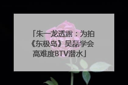 朱一龙透露：为拍《东极岛》吴磊学会高难度BTV潜水
