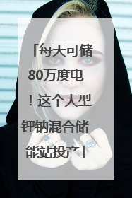 每天可储80万度电！这个大型锂钠混合储能站投产