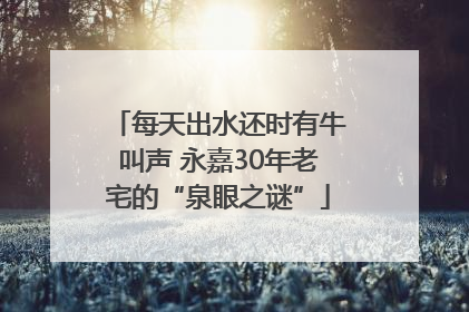 每天出水还时有牛叫声 永嘉30年老宅的“泉眼之谜”