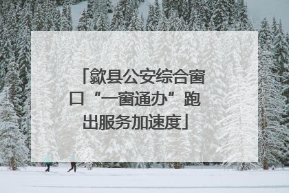 歙县公安综合窗口“一窗通办”跑出服务加速度