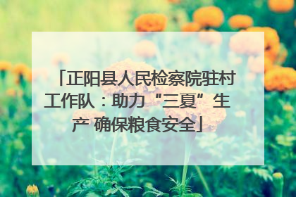 正阳县人民检察院驻村工作队：助力“三夏”生产 确保粮食安全