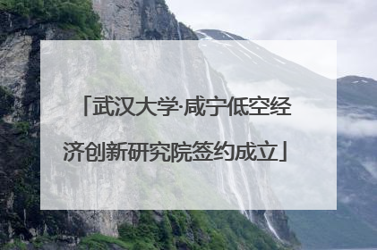 武汉大学·咸宁低空经济创新研究院签约成立