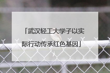 武汉轻工大学子以实际行动传承红色基因