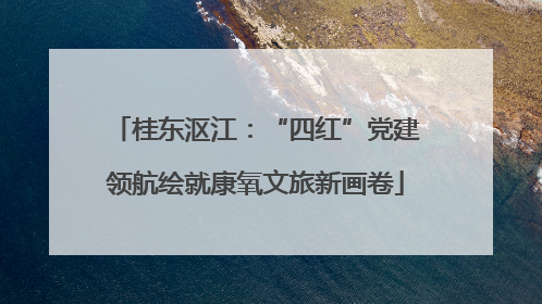 桂东沤江：“四红”党建领航绘就康氧文旅新画卷