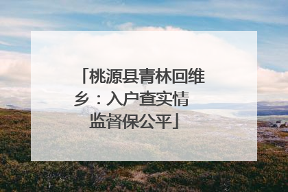 桃源县青林回维乡：入户查实情 监督保公平
