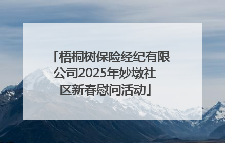 梧桐树保险经纪有限公司2025年妙墩社区新春慰问活动