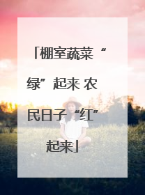 棚室蔬菜“绿”起来 农民日子“红”起来