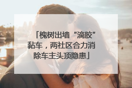 槐树出墙“滴胶”黏车，两社区合力消除车主头顶隐患