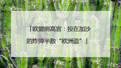 欧盟前高官：投在加沙的炸弹半数“欧洲造”