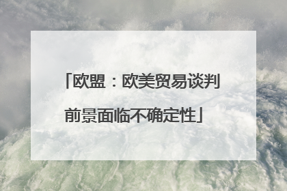 欧盟：欧美贸易谈判前景面临不确定性