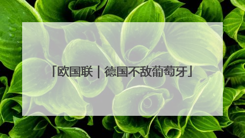 欧国联｜德国不敌葡萄牙