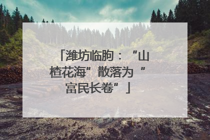潍坊临朐：“山楂花海”散落为“富民长卷”