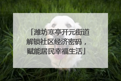 潍坊寒亭开元街道解锁社区经济密码，赋能居民幸福生活
