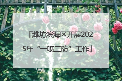 潍坊滨海区开展2025年“一喷三防”工作