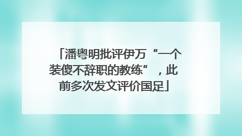 潘粤明批评伊万“一个装傻不辞职的教练”，此前多次发文评价国足