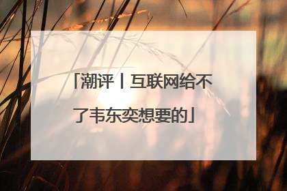 潮评丨互联网给不了韦东奕想要的