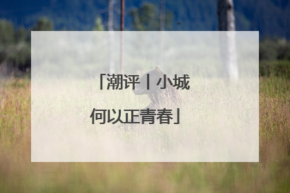 潮评丨小城何以正青春