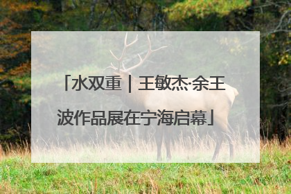 水双重｜王敏杰·余王波作品展在宁海启幕