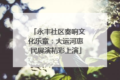 永丰社区奏响文化乐章：大运河惠民展演精彩上演