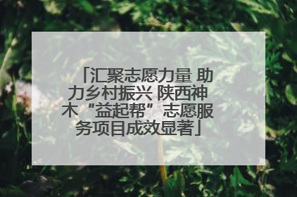 汇聚志愿力量 助力乡村振兴 陕西神木“益起帮”志愿服务项目成效显著