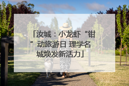 汝城：小龙虾“钳”动旅游日 理学名城焕发新活力