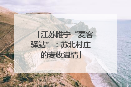 江苏睢宁“麦客驿站”：苏北村庄的麦收温情