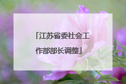 江苏省委社会工作部部长调整