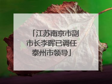江苏南京市副市长李晖已调任泰州市领导