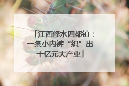 江西修水四都镇：一条小内裤“织”出十亿元大产业