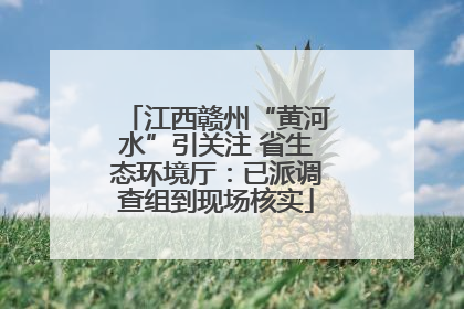 江西赣州“黄河水”引关注 省生态环境厅：已派调查组到现场核实