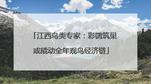 江西鸟类专家：彩鹮筑巢或撬动全年观鸟经济链