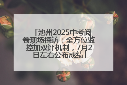 池州2025中考阅卷现场探访：全方位监控加双评机制，7月2日左右公布成绩