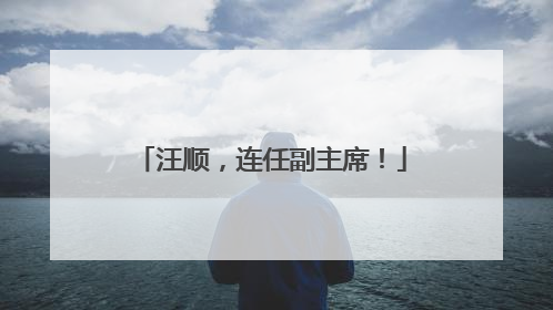 汪顺，连任副主席！