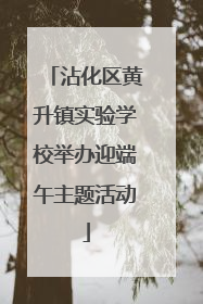 沾化区黄升镇实验学校举办迎端午主题活动
