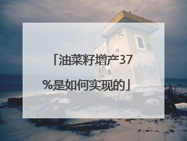 油菜籽增产37%是如何实现的