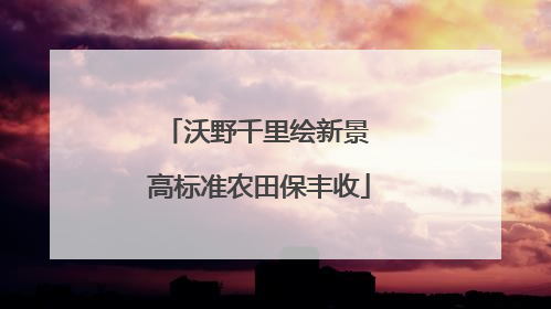 沃野千里绘新景 高标准农田保丰收