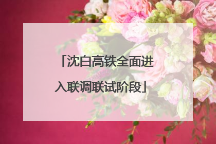 沈白高铁全面进入联调联试阶段