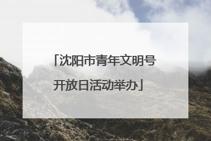 沈阳市青年文明号开放日活动举办
