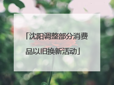 沈阳调整部分消费品以旧换新活动
