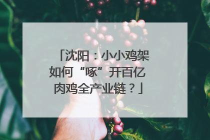沈阳：小小鸡架如何“啄”开百亿肉鸡全产业链？