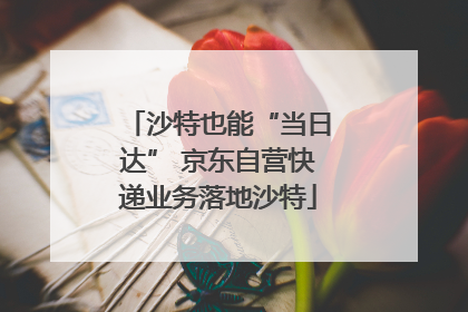 沙特也能“当日达” 京东自营快递业务落地沙特