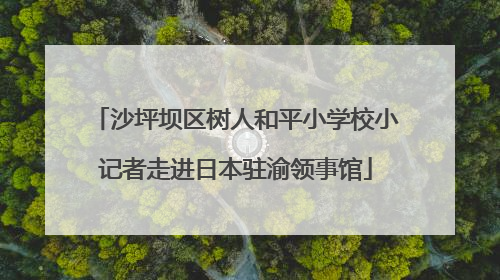 沙坪坝区树人和平小学校小记者走进日本驻渝领事馆